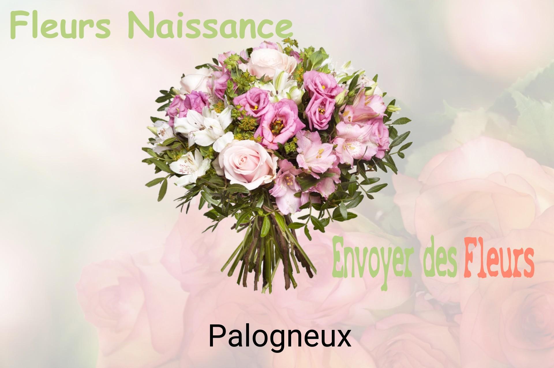 Bouquet de fleurs de naissance livré à Palogneux