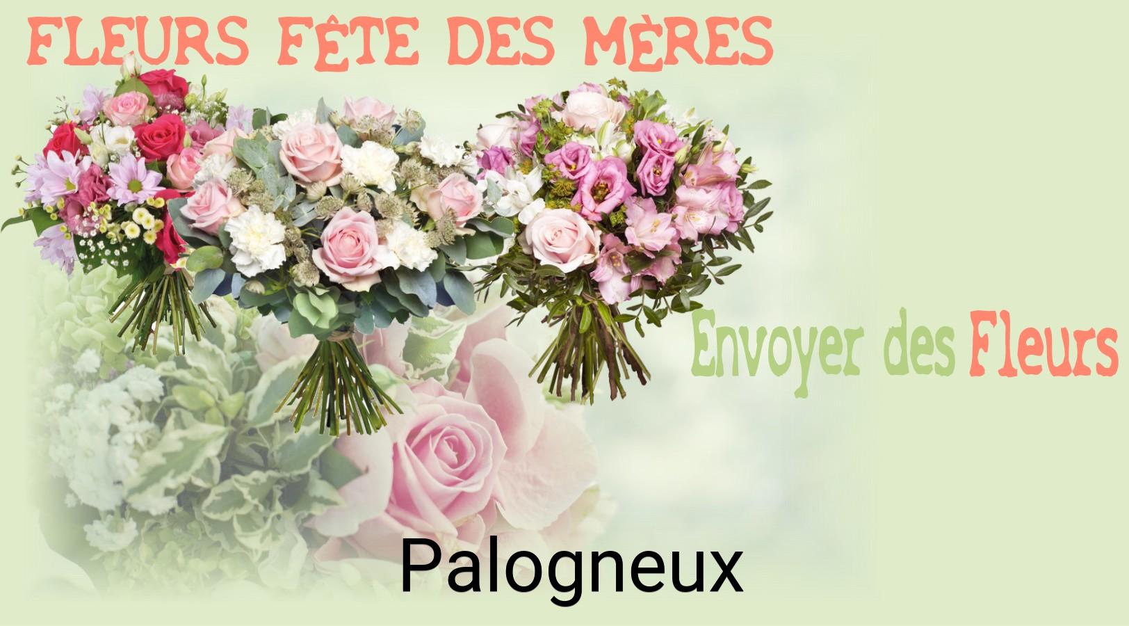 Bouquet de Fête des Mères livré à Palogneux